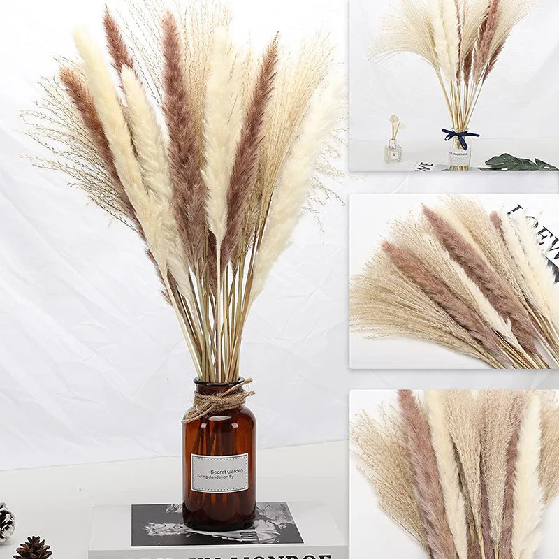 300pcs Real Natural Dried Flower Bouquet Pampas Reed Small Reed Rabbit Tail Grass Home Decor Mix and Match Dried Flower Bouquet