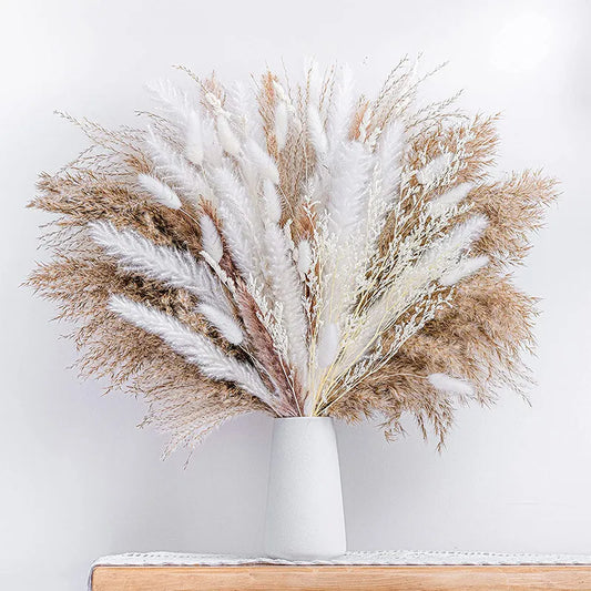 300pcs Real Natural Dried Flower Bouquet Pampas Reed Small Reed Rabbit Tail Grass Home Decor Mix and Match Dried Flower Bouquet